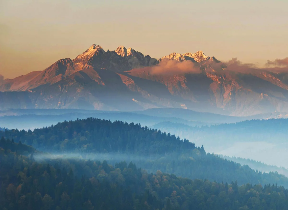 Adwokaci w Katowicach