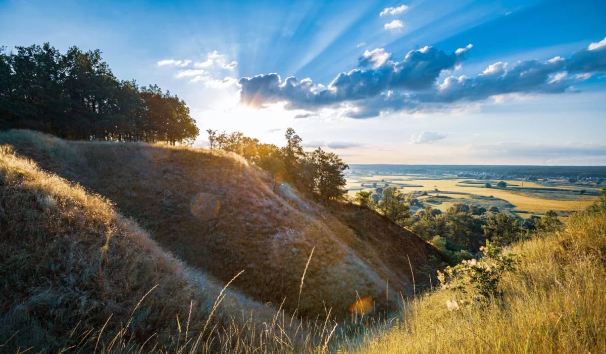 Czy ktoś też potrzebuje naprawić elektronikę?