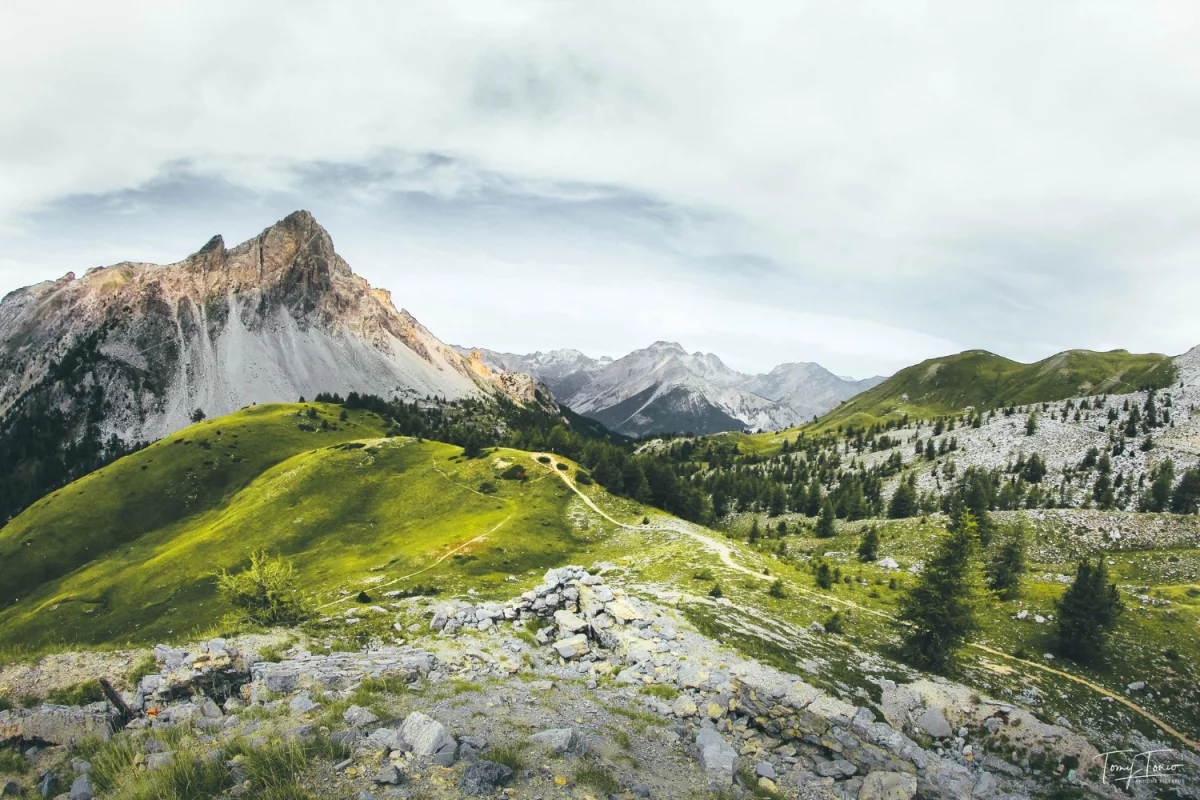 Jak przyjemnie reklamować?