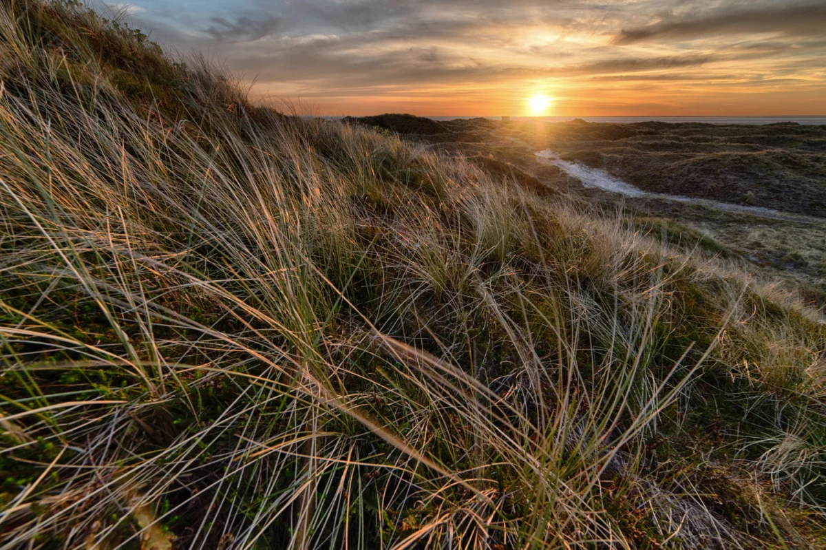 2023 jest dobry aby  schudnąć
