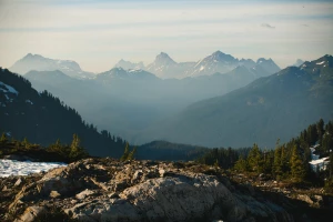 Jak być fit Natychmiastowo?